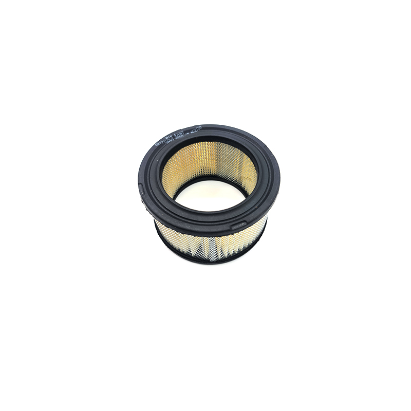 Luftfilter SA10279, SL5728