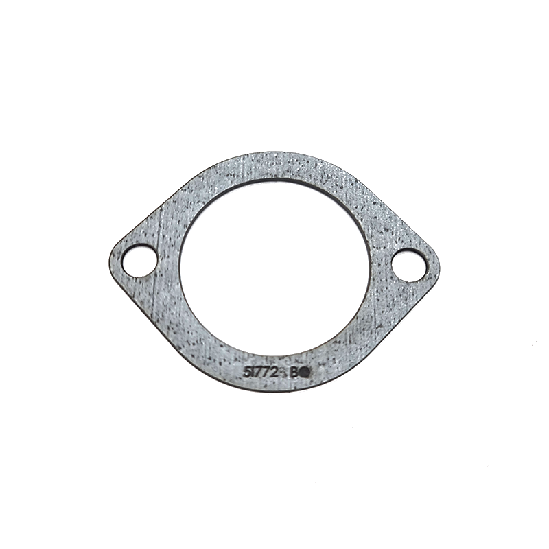 Gasket ( Thermostadt )   CAT