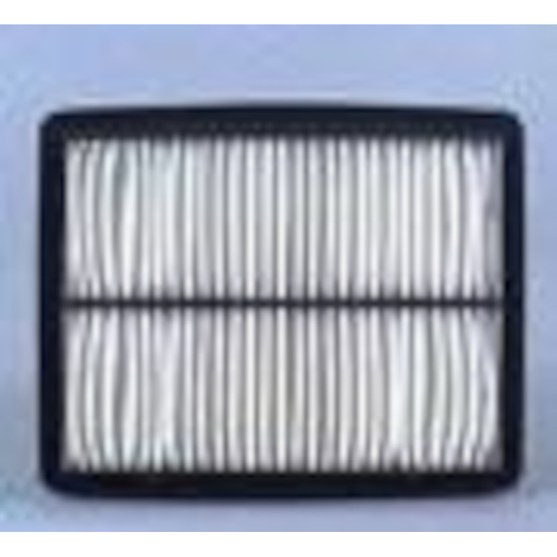 Fleetguard Luftfilter AF25017