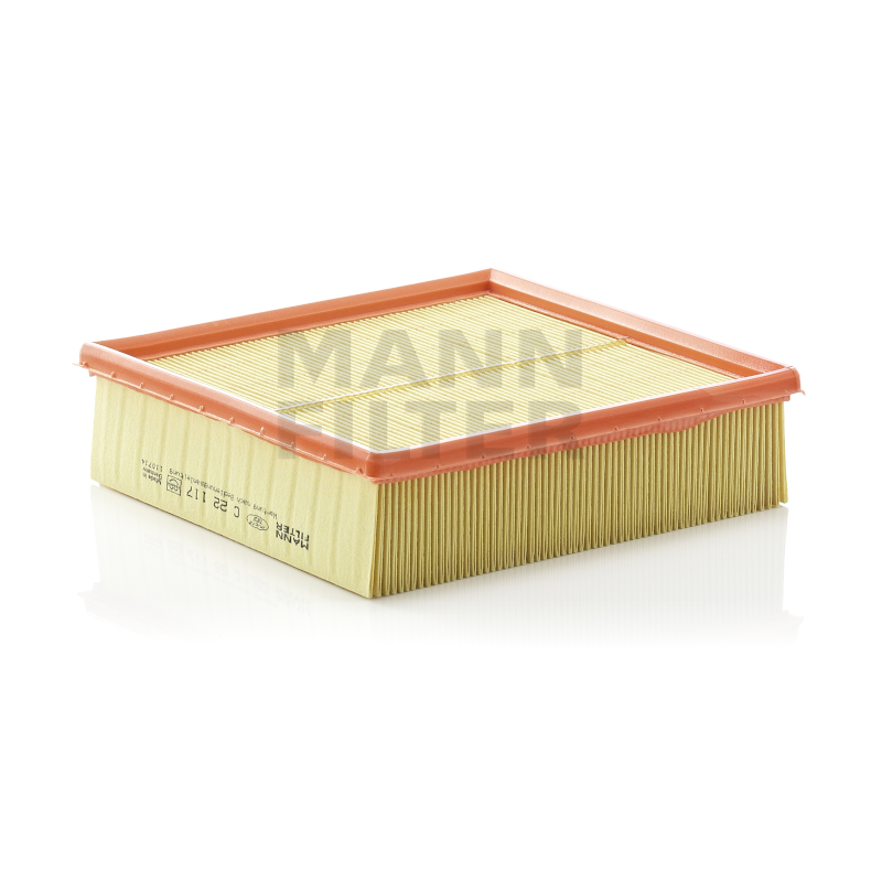Mann Luftfilter C22117
