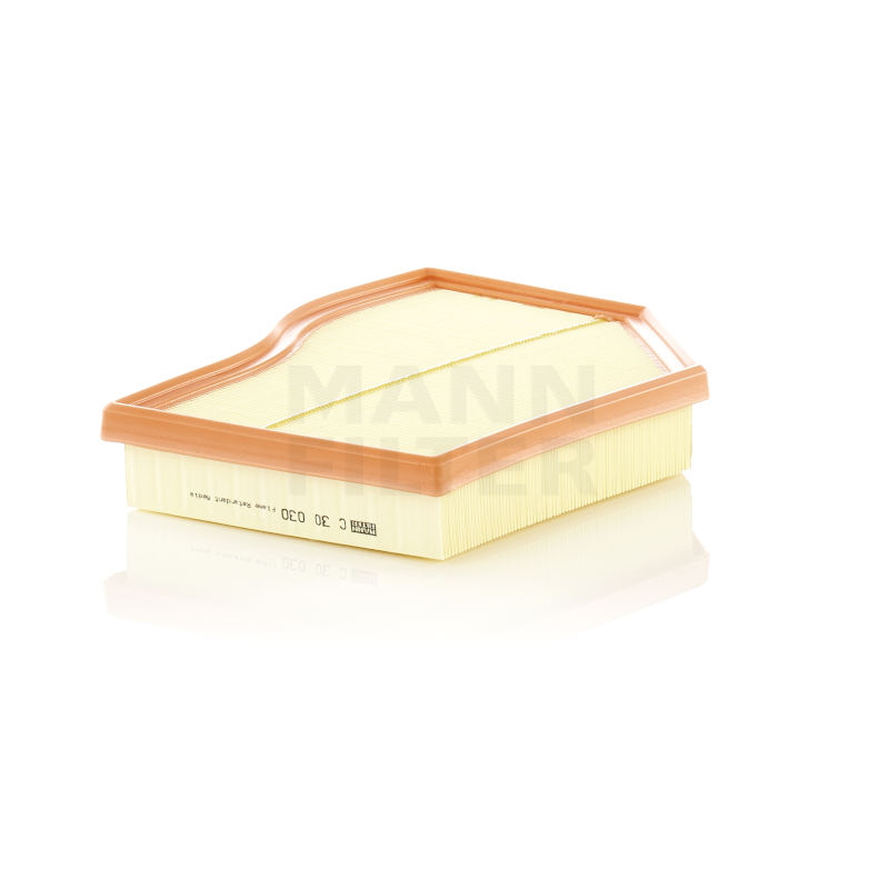 Mann Luftfilter C30030