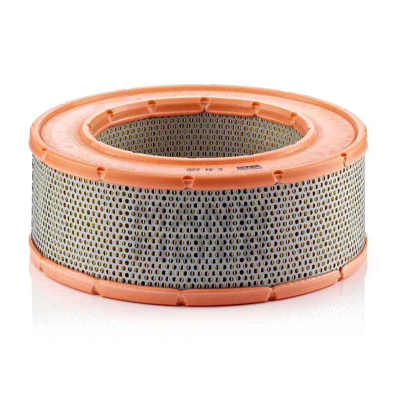 Mann Luftfilter C31220