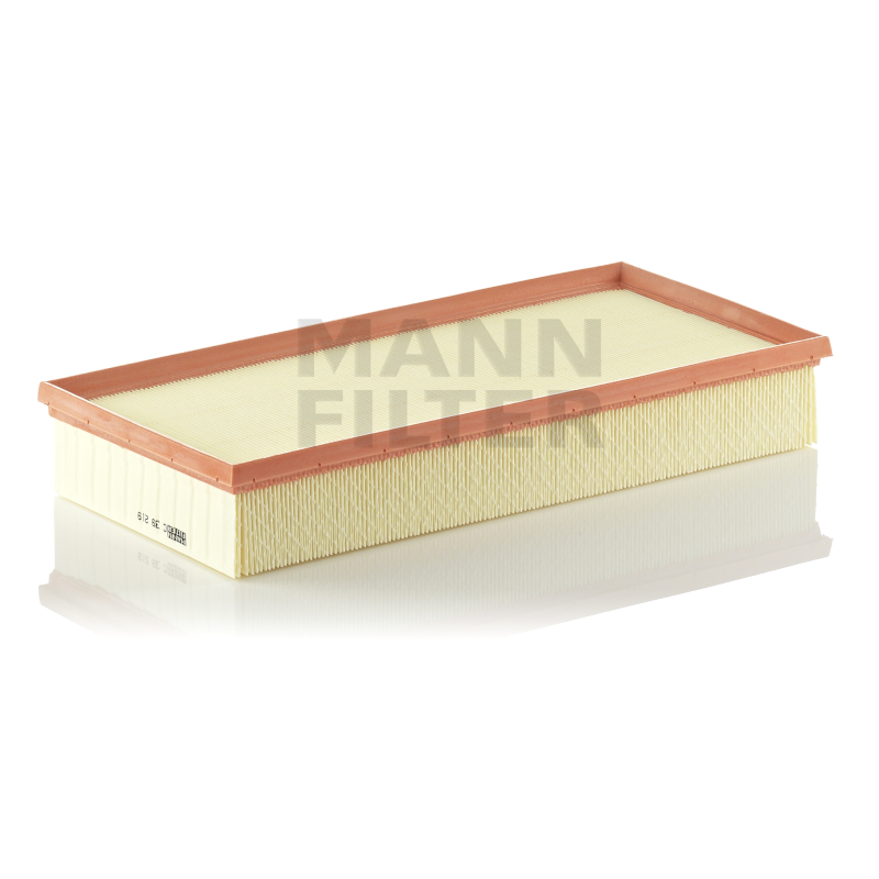 Mann Luftfilter C39219