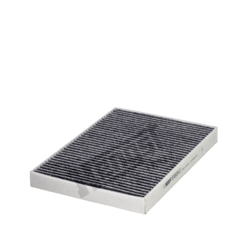 Hengst Kabinenfilter mit Aktivkohle E4931LC