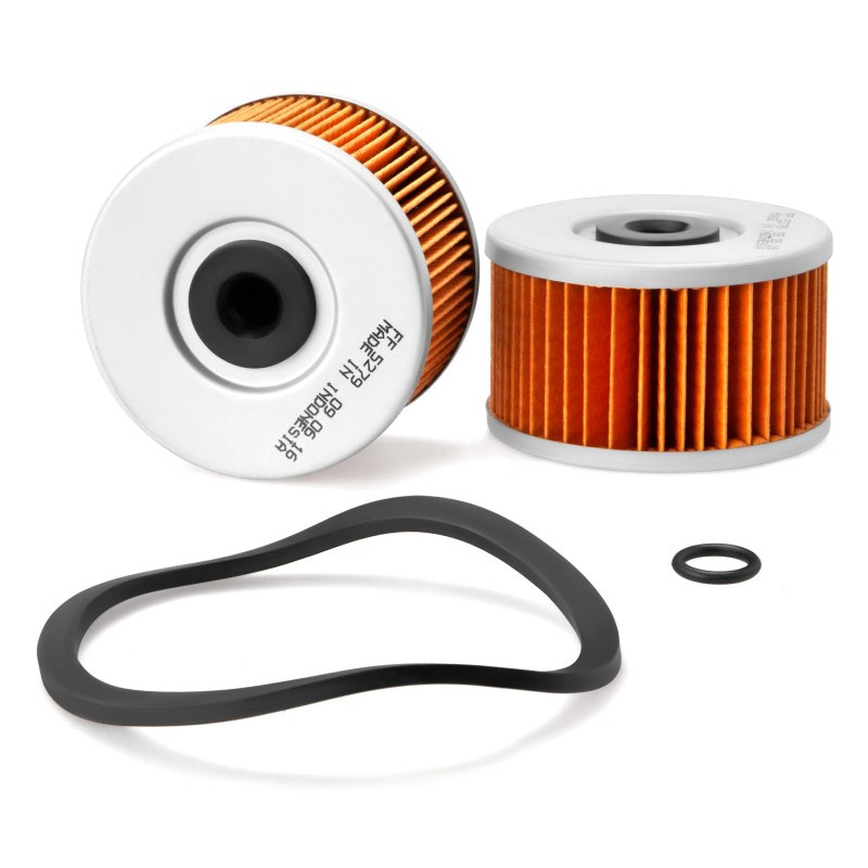 Fleetguard Kraftstofffilter FF5279