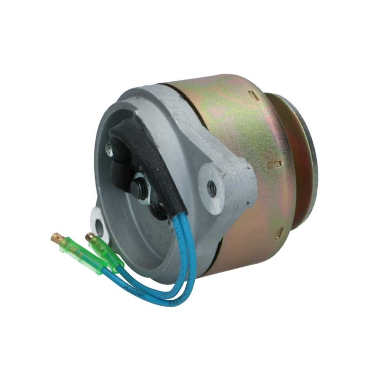 Lichtmaschine Kubota 14A 695506014208