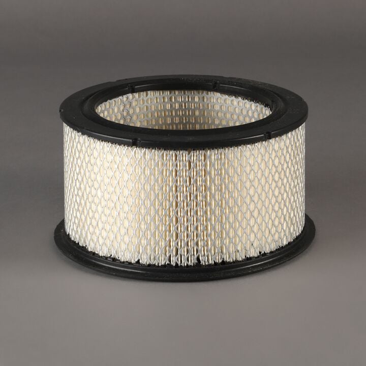 Donaldson Luftfilter P500245