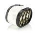 Mann Luftfilter C38010