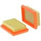 Luftfilter SA12763, SL14531