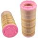 Luftfilter SA17599, SL82515